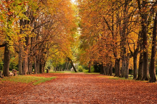 Comment réussir à marcher en talons hauts sans douleur et avec élégance?