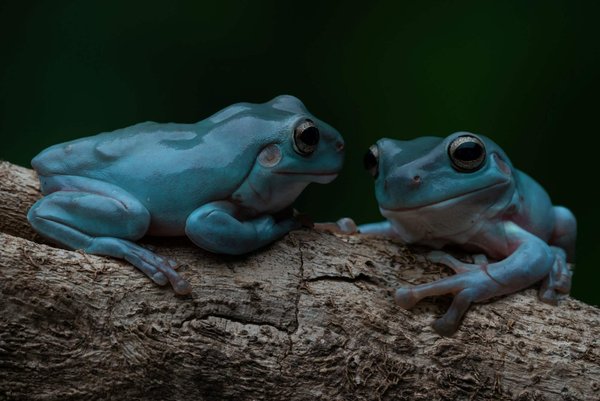 Quels conseils pour porter des baskets blanches avec une robe de cocktail lors d'un événement décontracté?